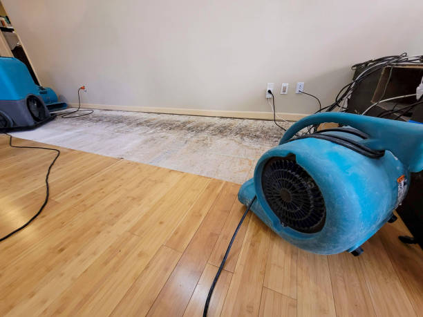 Professional Water Removal technician working in Hyde Park, PA